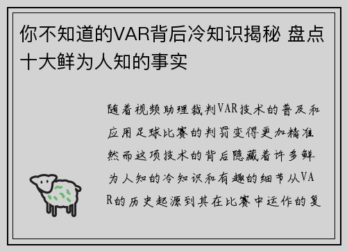 你不知道的VAR背后冷知识揭秘 盘点十大鲜为人知的事实