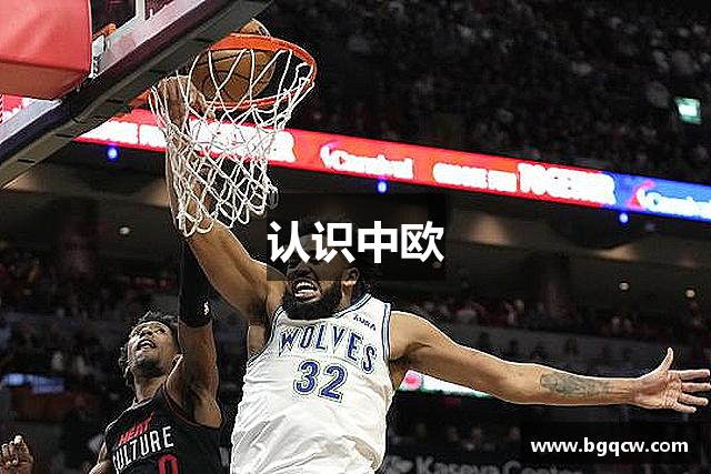 认识中欧